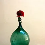 Via Colaci Studios